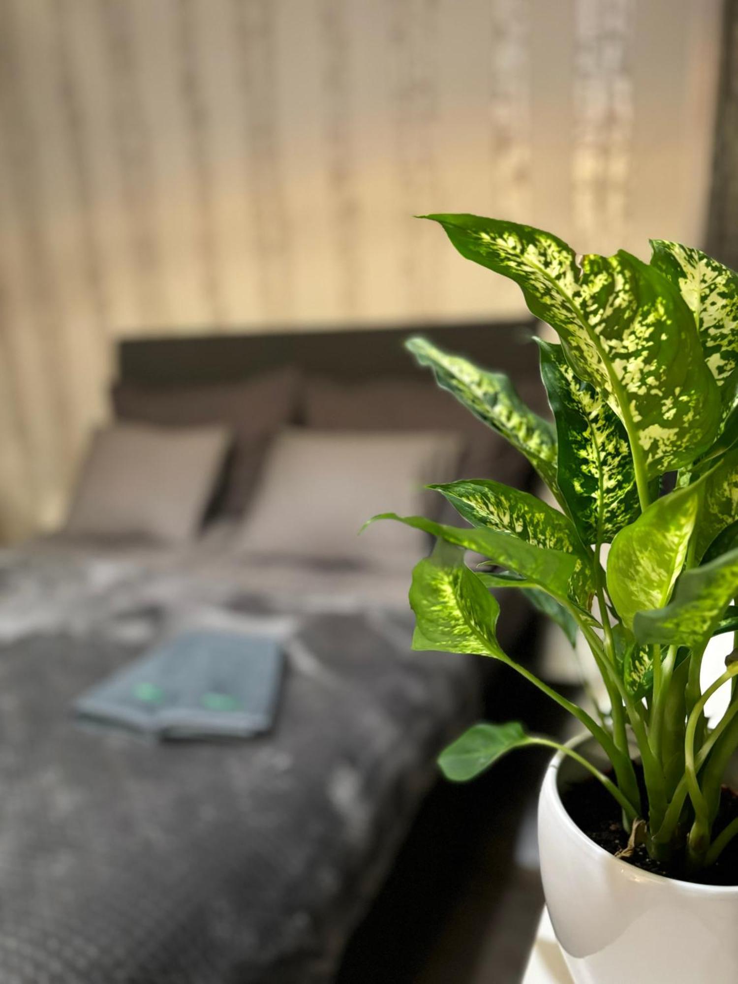 Vartiomaja - Beautiful Apartment Near Arktikum Rovaniemi Kültér fotó